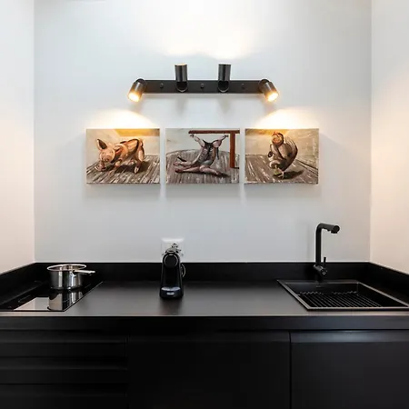 Loft 15 Apartment